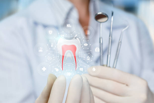 Best Cosmetic Dentistry  in Elwood, UT
